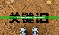 AC米兰加盟前国米铁卫：玛莎公布成绩